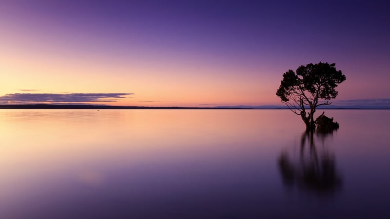 Sunset Silhouette